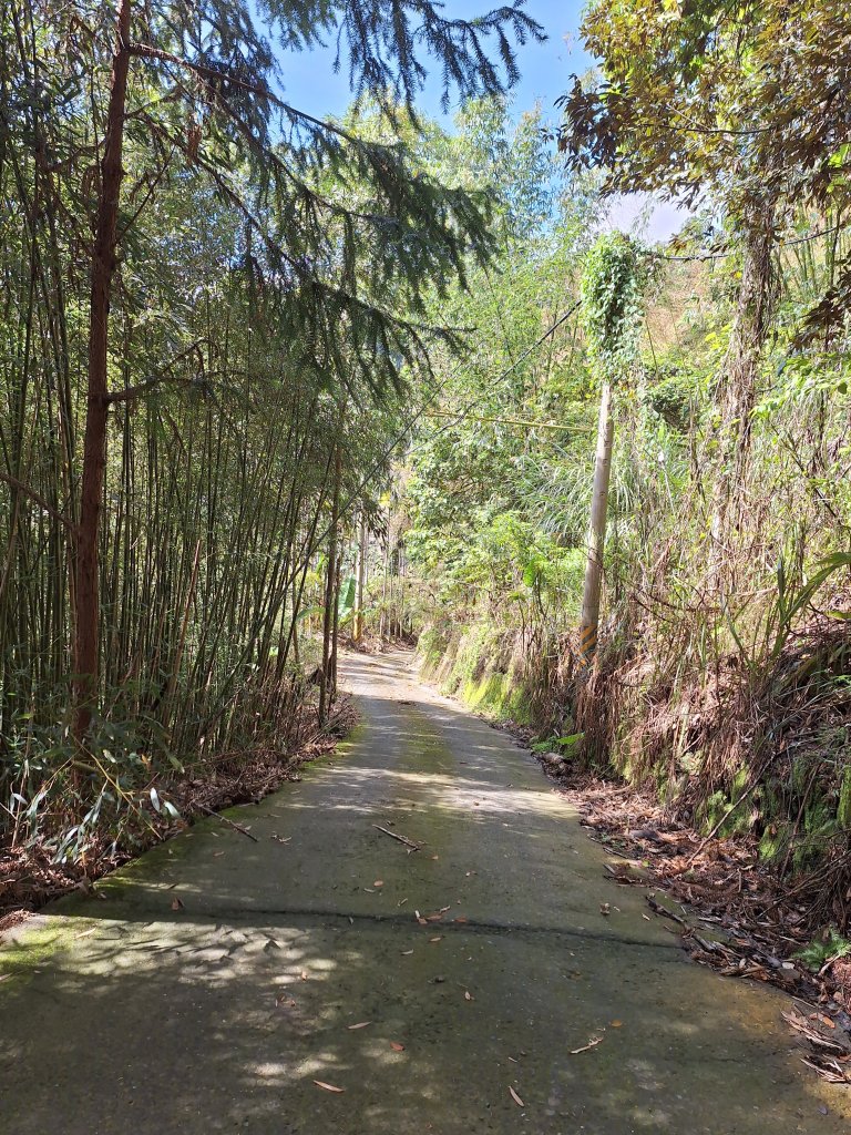 三鼠眉毛縱走@瑞峰20240825_2580409