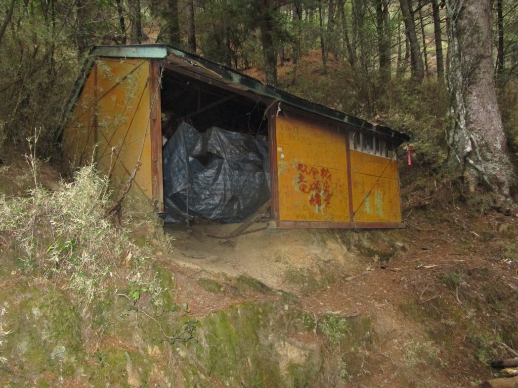 八通關山、八通關山西峰、秀姑巒山_526269