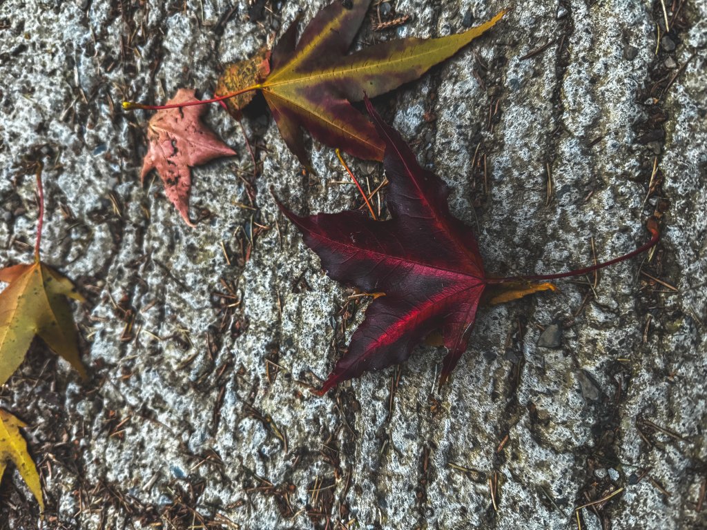 日本帝國廢電線桿之路_2395327