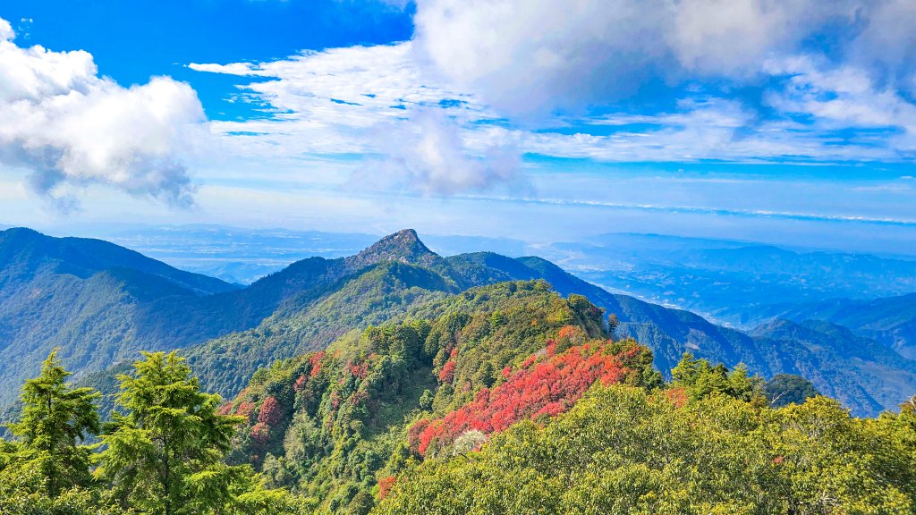 20251212稍來山賞楓_2982018