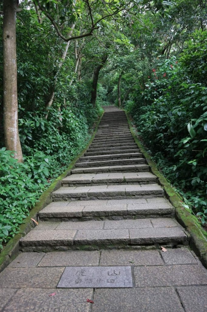 小百岳NO.13南港山，南港山北峰，九五峯_2285583