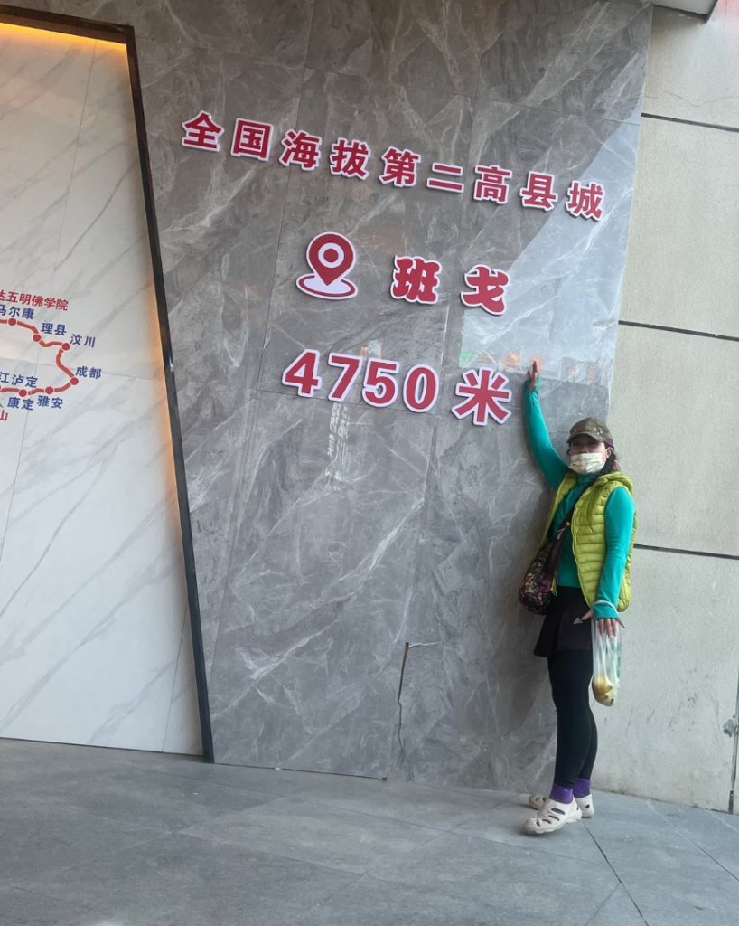 川藏318熱門的卡點-尼瑪-當惹擁措-大地之樹-雅丹地貌聖象天門_2905195