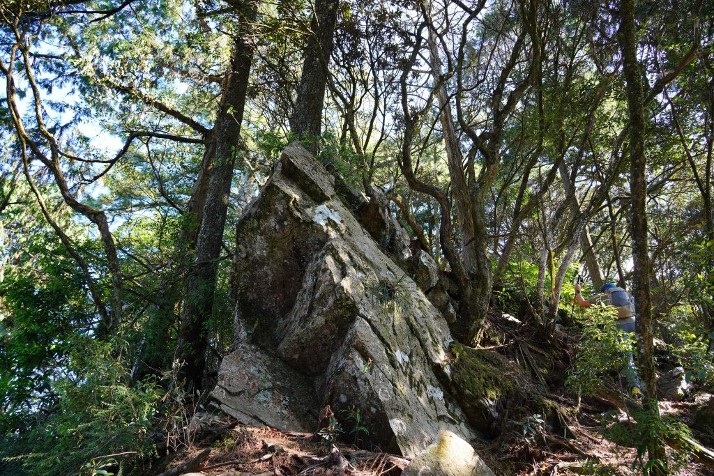 台中和平區 鳶嘴西稜下稍來南稜_1968129