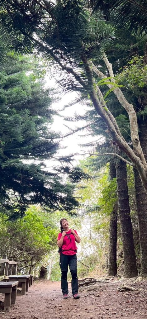 馬那邦山（珠湖登山口）_2934014