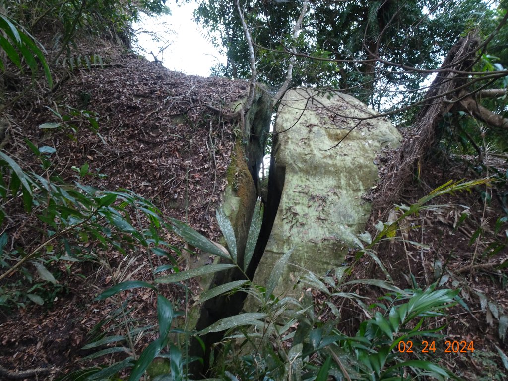 矢場谷山縱走勃子山往返_2436197