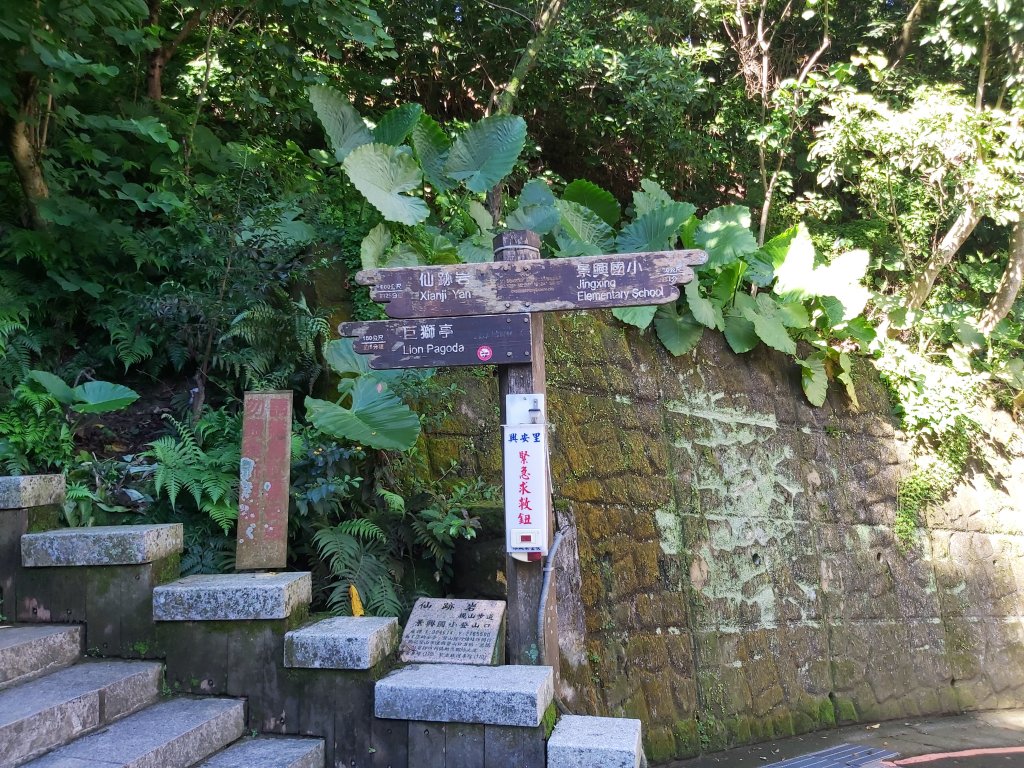 2020.08.13.景美仙跡岩登山步道_1082842