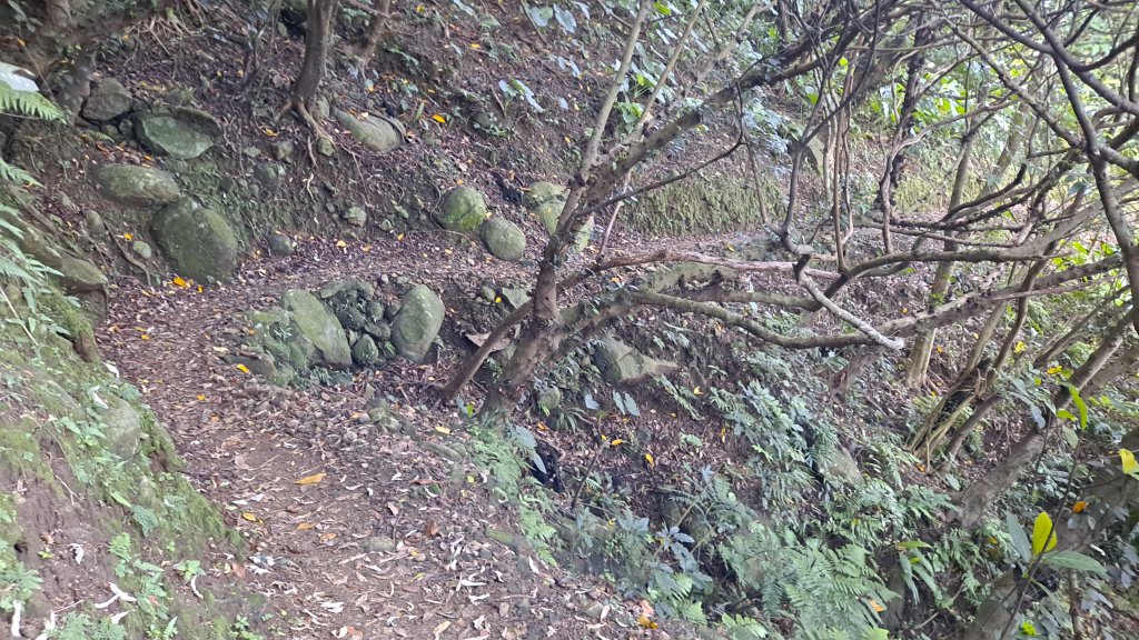 小百岳#06_基隆山︳日出美景︳交錯山海_1145950