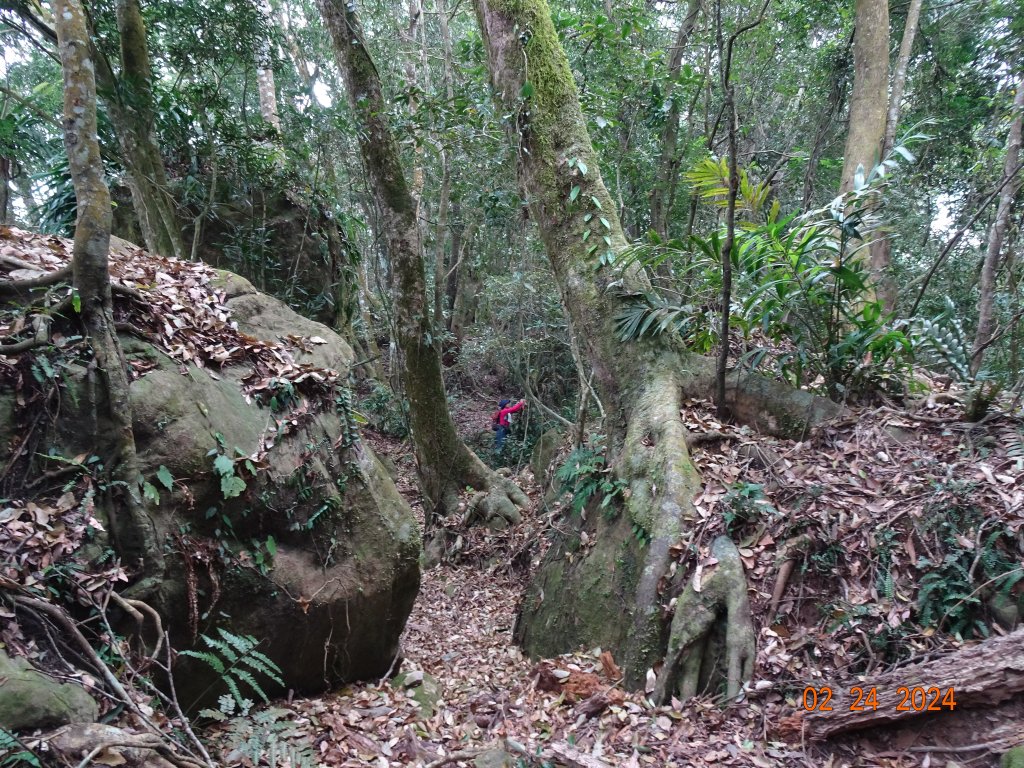 矢場谷山縱走勃子山往返_2436201