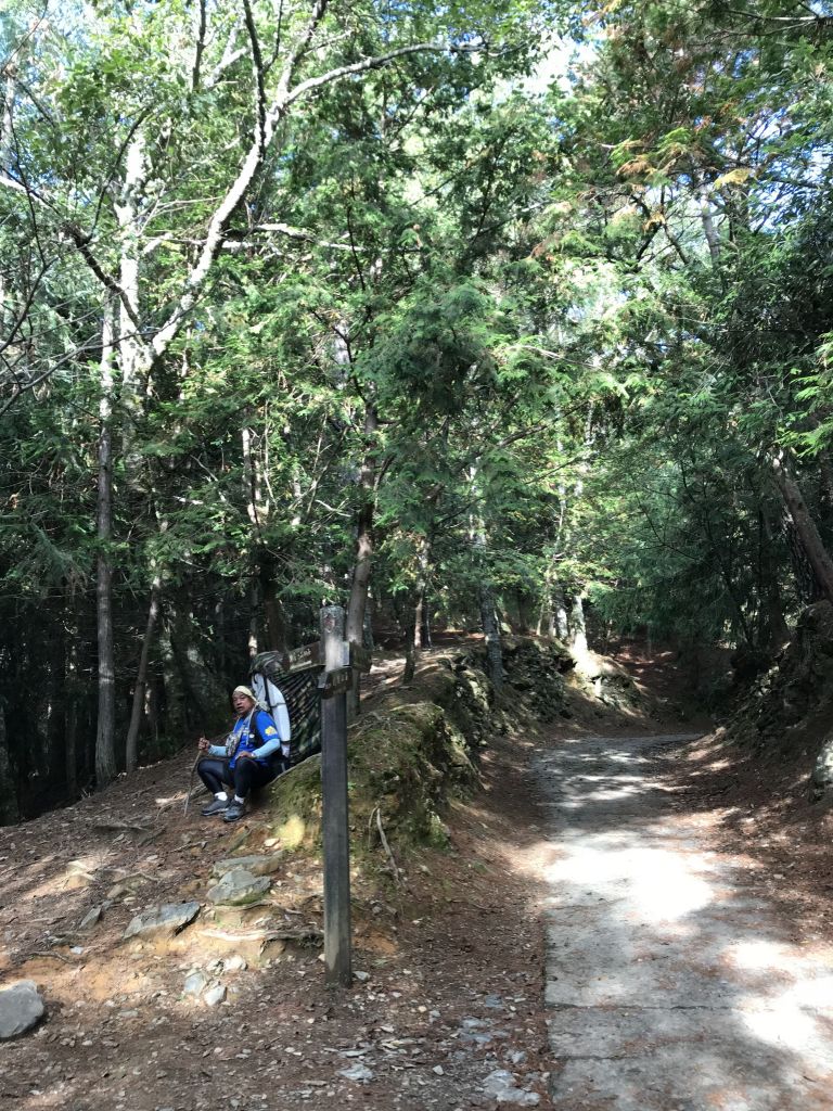 訪一株傲視風霜、獨立卓然的樹—池有品田_207761