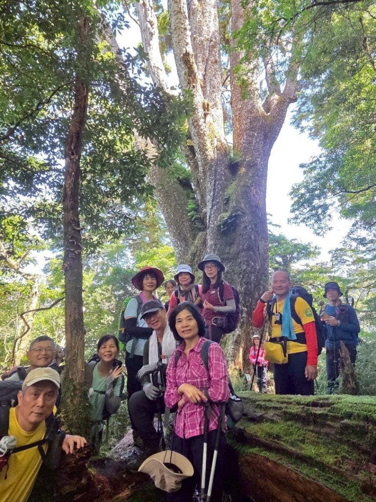 觀雪縱走~大園登山協會_2828655