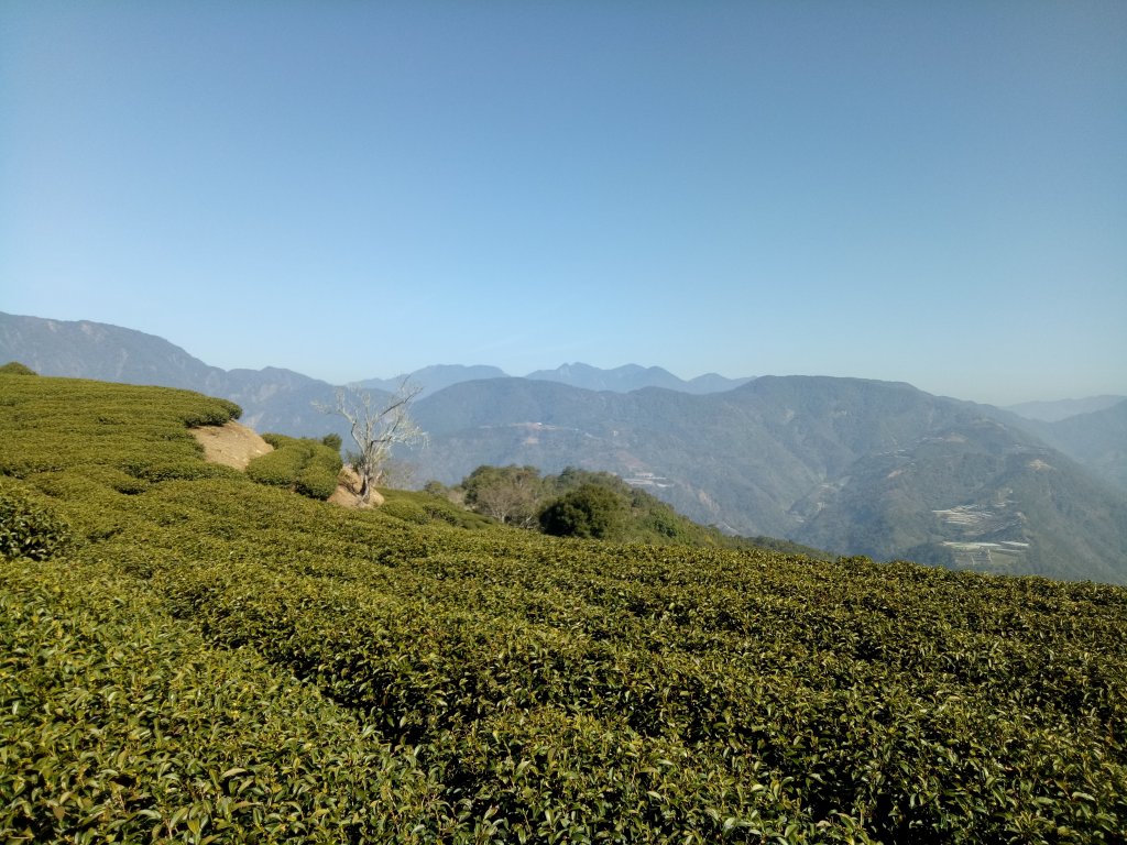 埔里六秀之舊武界越山（關頭山起登）封面圖