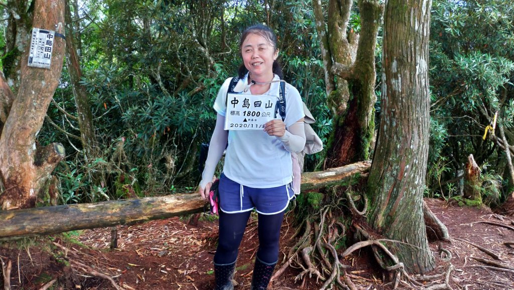 高島縱走_1453629