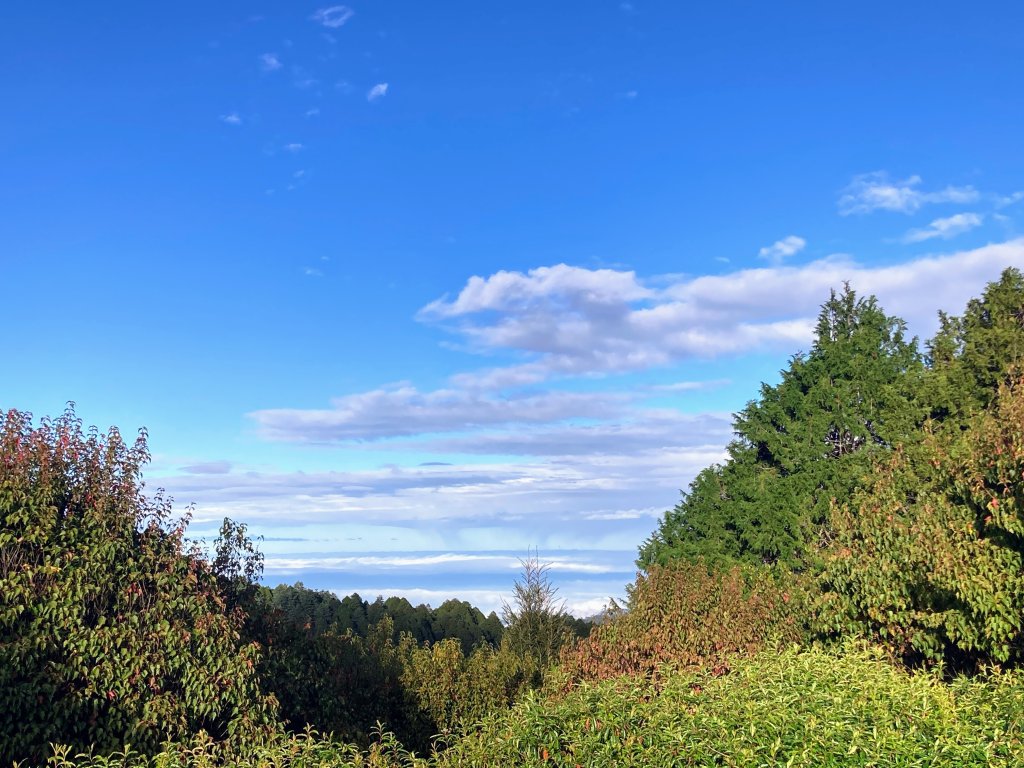 祝山觀日步道(小笠原山)_2649644