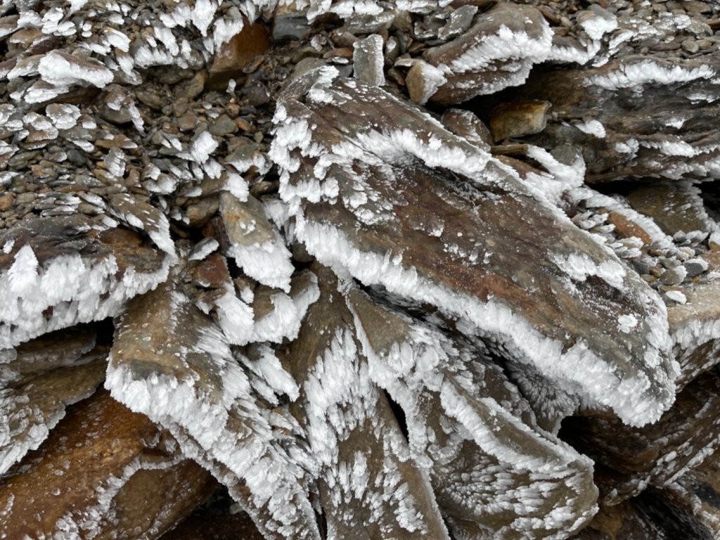 絕美銀白世界 玉山降下今年冬天「初雪」_1236070
