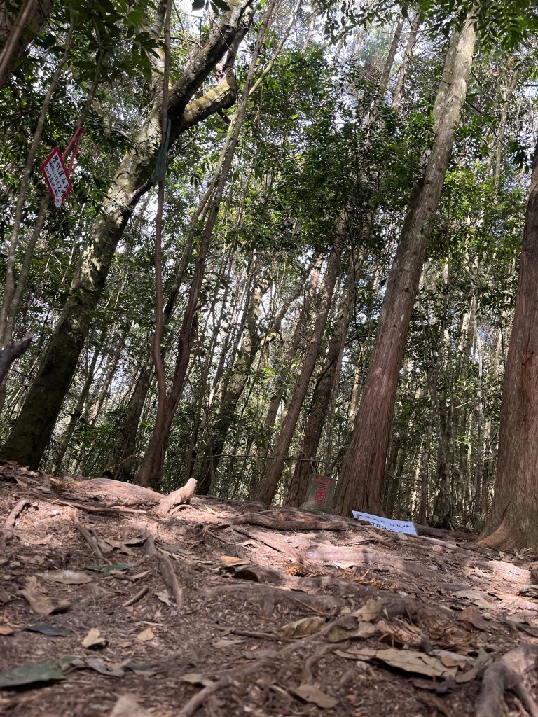 2021_1230 屋我尾山北峰_2598934