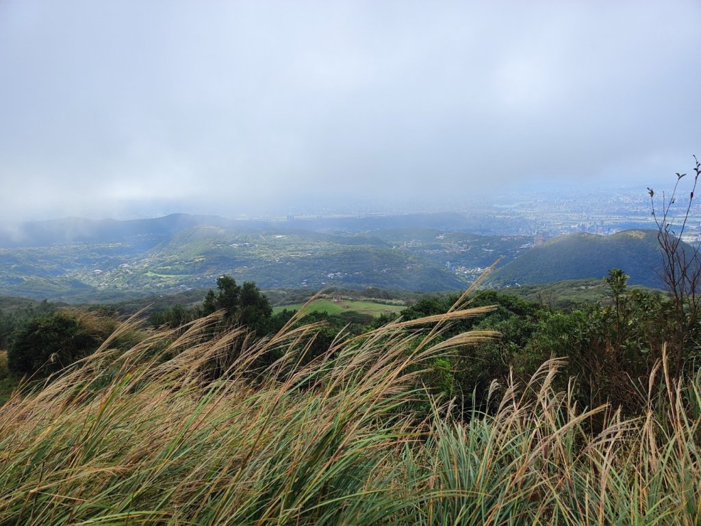苗圃上七星下冷水坑_2647487