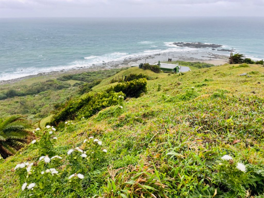 墾丁國家公園「鼻頭草原」生態之旅_1620297
