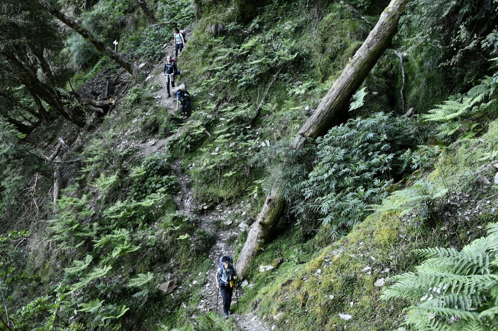 八通關上玉山_1025094