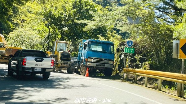 【花蓮秀林】台灣百大必訪步道。 白楊步道_2230625