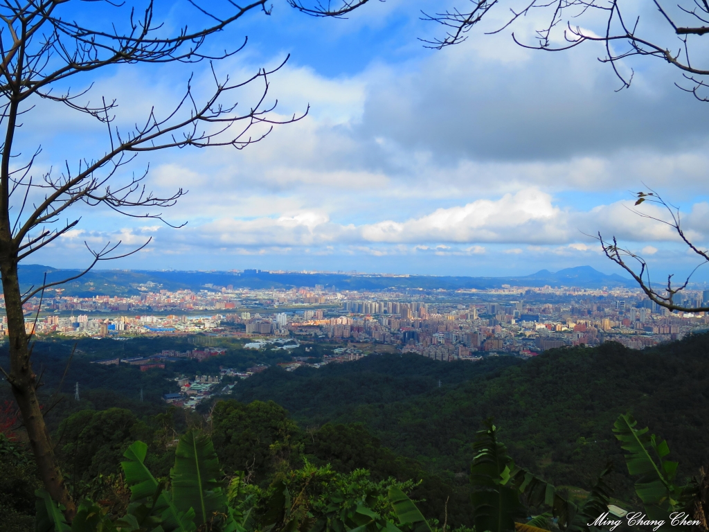 20150201~文筆山-將軍領-五城山-太極嶺-山中湖賞櫻花~桐花公園_12889