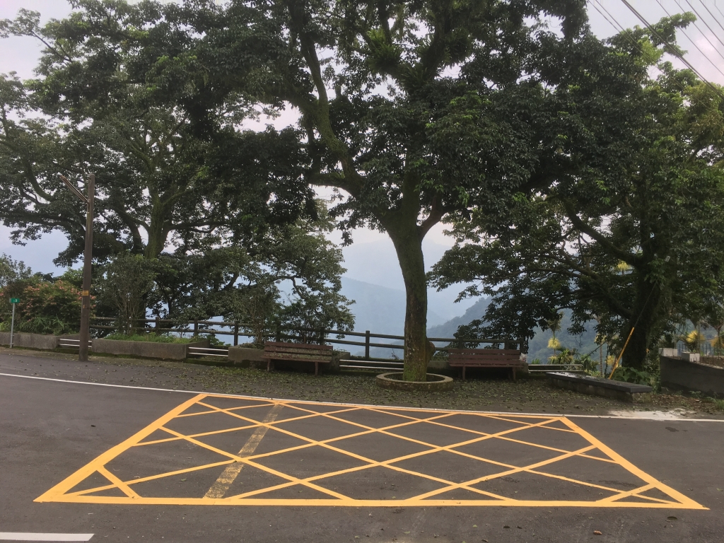 雲嘉大尖山（挑筍古道）_56594