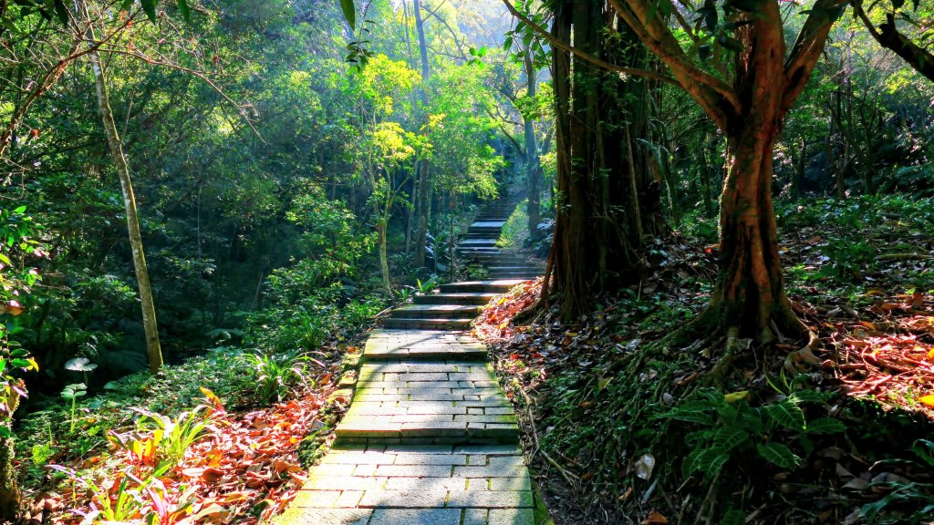 水返之城_2982928