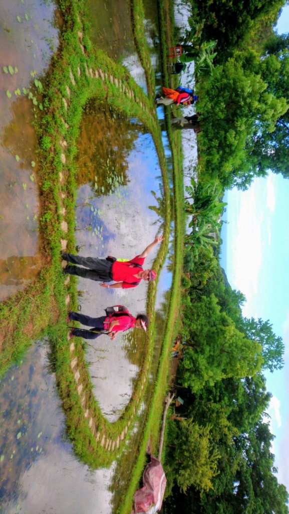 2020/08/21楊廷理古道與灰窯瀑布_1091757