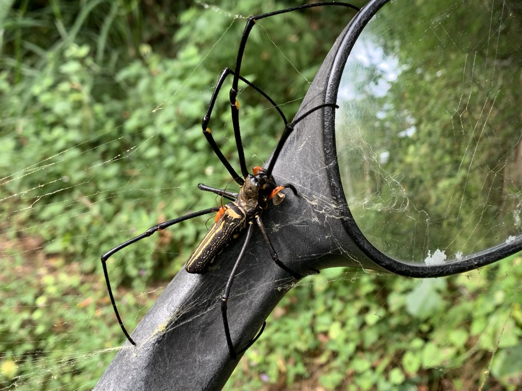 20251024台南東西崙山封面圖