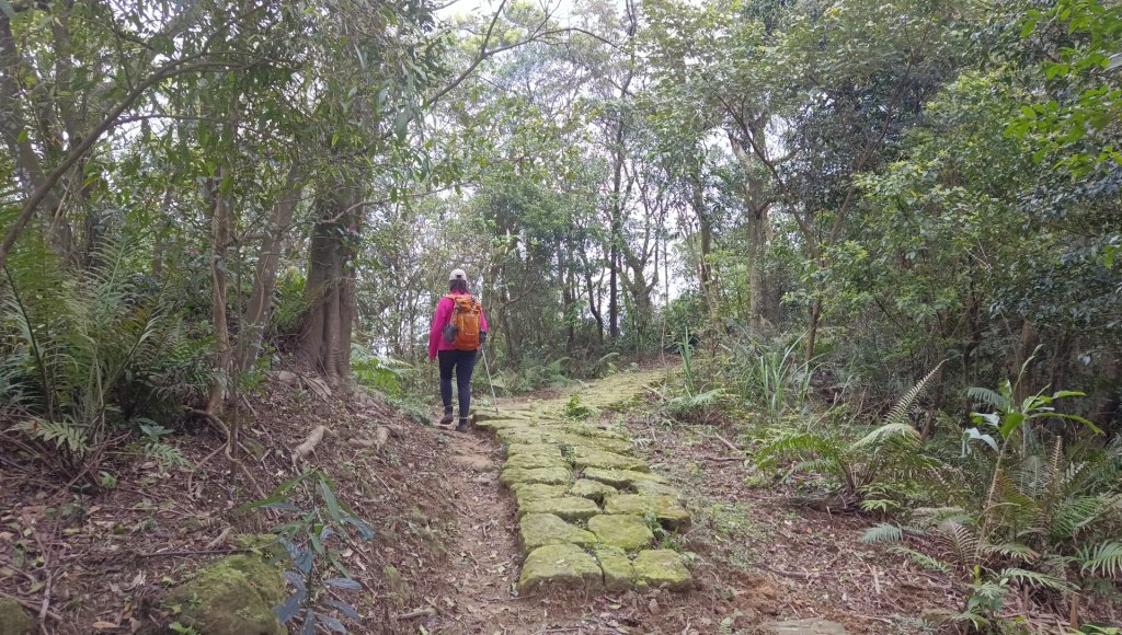 (姨婆趴趴走)第四十七集:新北土城大暖坑山等諸峰攀登連走_2738789