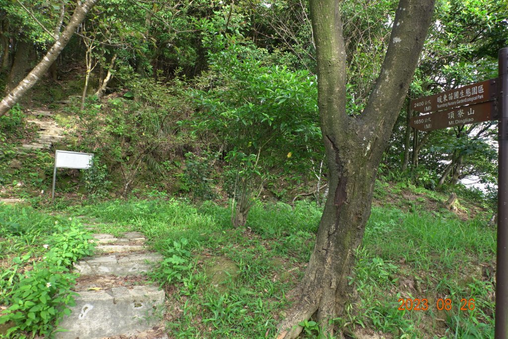 基隆 頂寮山、龍門山、五分山、頂子寮山_2265927