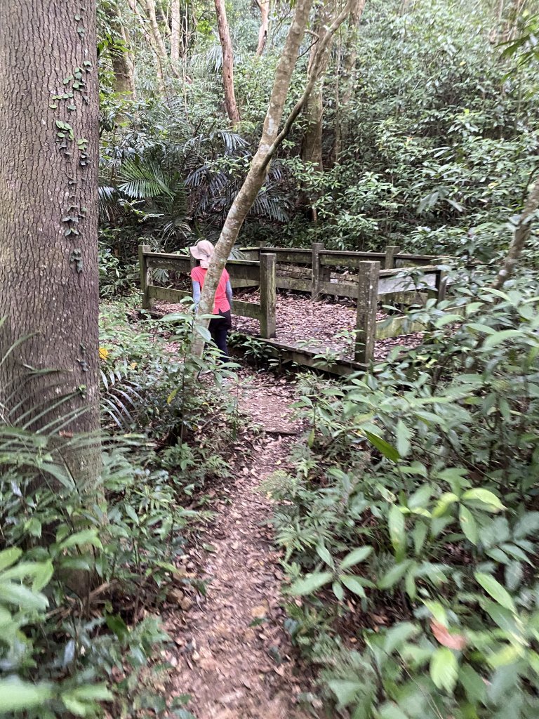 20250706-EP.08四寮溪生態步道-2025森遊竹縣皮皮獅探險隊_2851856