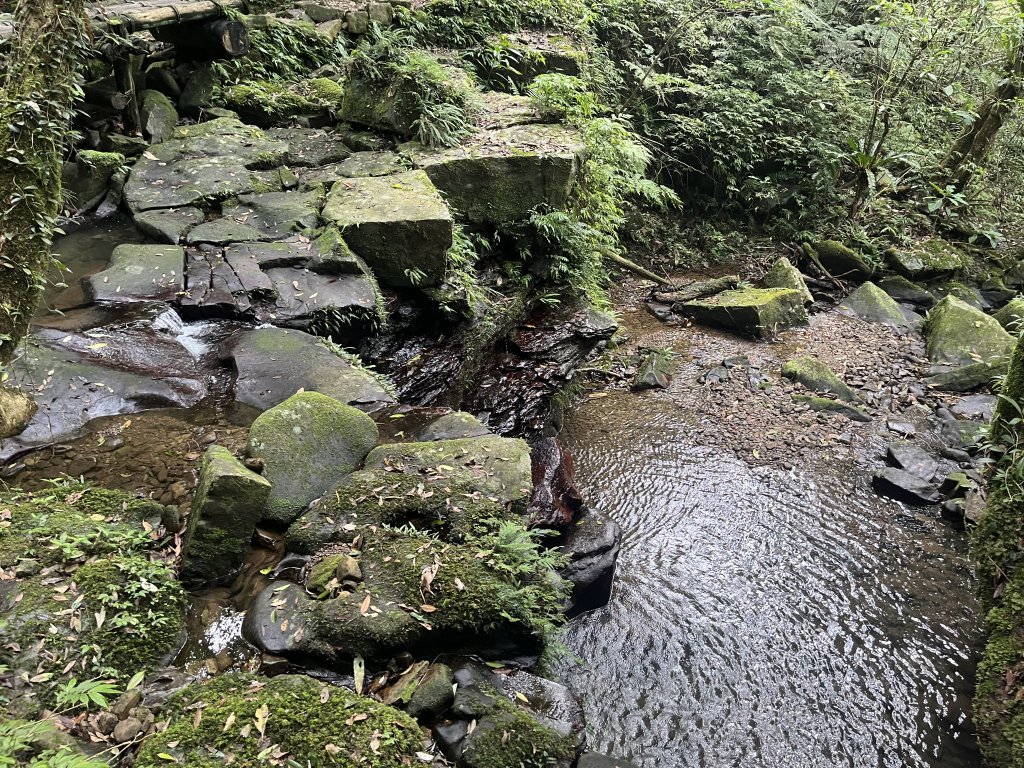 [淡蘭古道] 2024_0622 中路第四段-北勢溪古道_2533893