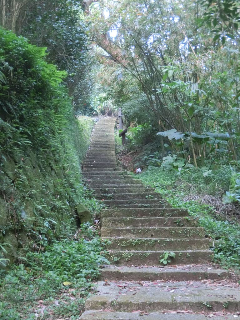 湖山綠地．橫嶺古道環狀步道_113924