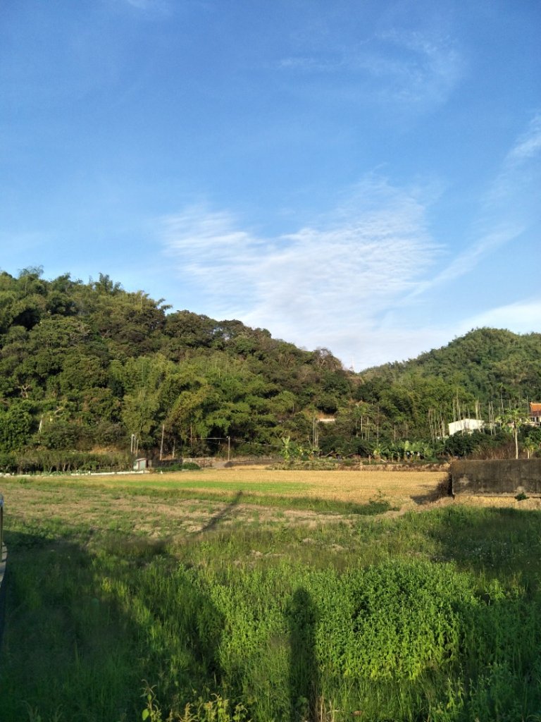 霧峰萬豐社區環山步道_1919562