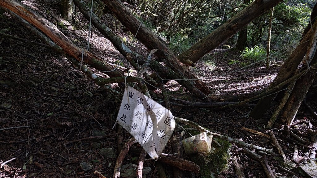 觀雪縱走_2918130