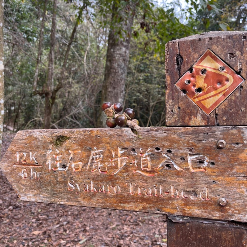 20241221 霞喀羅二天一夜露營賞楓_2711951