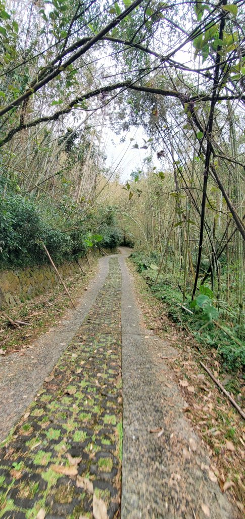 2025-01-18頂石棹步道群_2694151