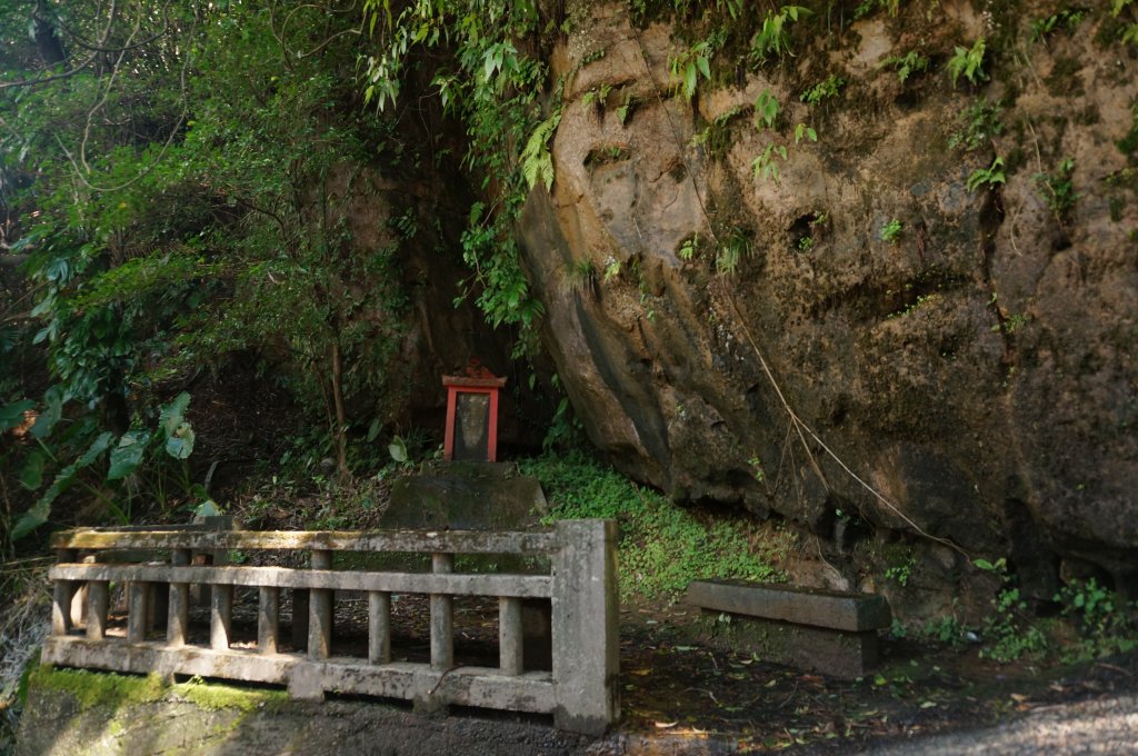 紅淡山步道_2021161