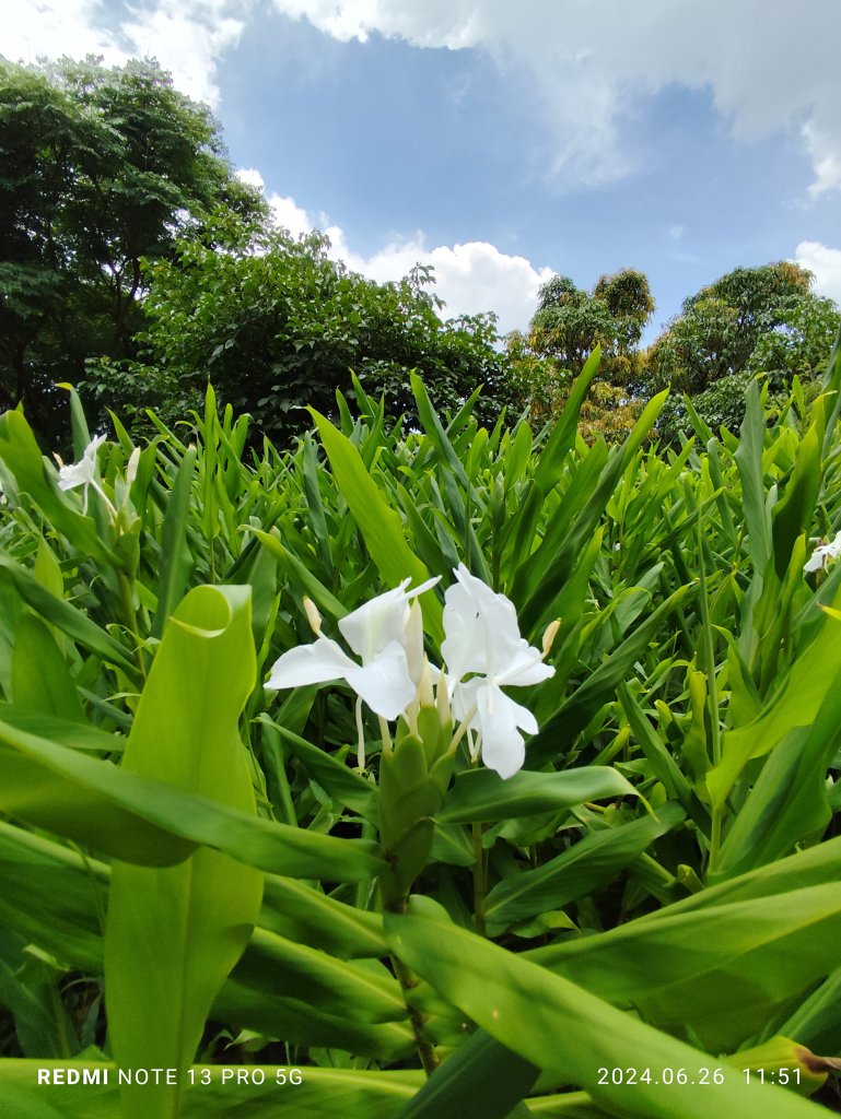 大安森林公園【走路趣尋寶】【臺北健走趣】_2536139