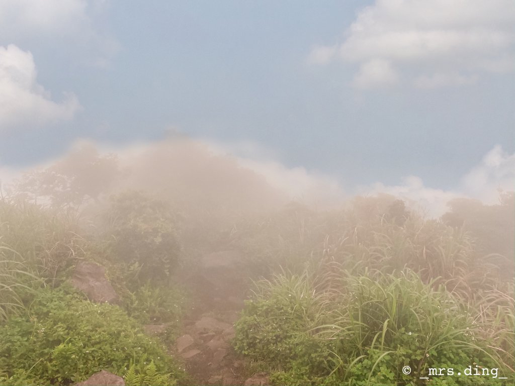 ＜小百岳＞新北市．觀音山(硬漢嶺)_915041