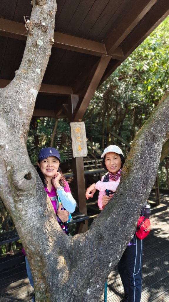 大崙頭尾山_2990342