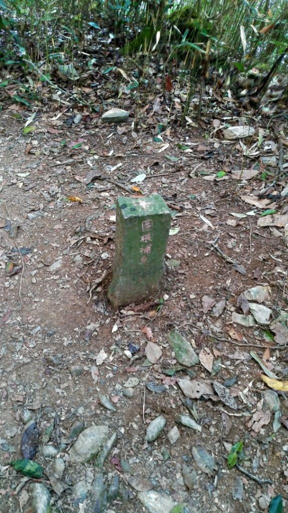 小百岳【尾寮山】_905268