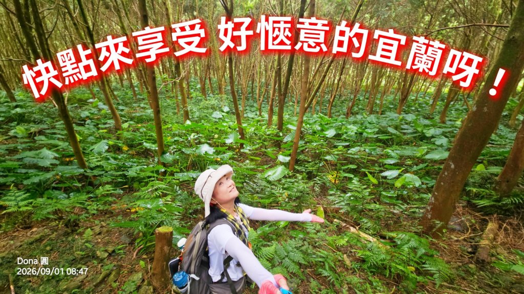 宜蘭燈篙林道.肖楠步道.雙月湖O走封面圖