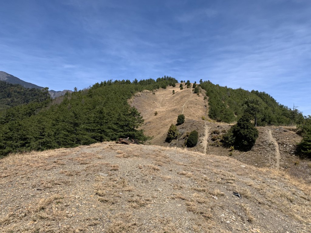 夜登志佳陽下馬武霸110.2.19-20_1321152