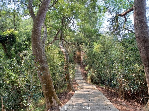 【苗栗造橋】適合親子悠閒踏青。劍潭古道封面圖