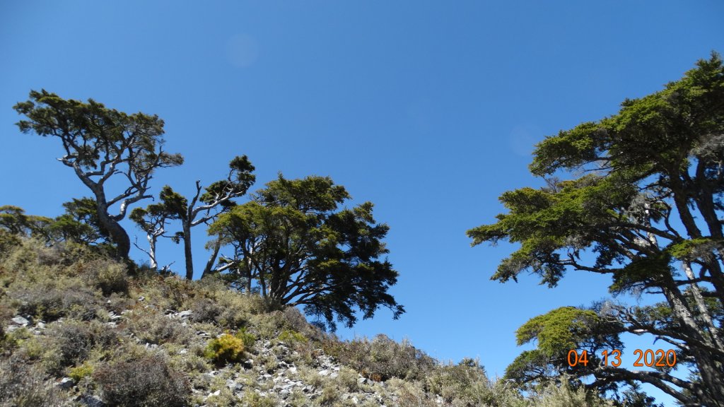 18桃山池有山O型_917570