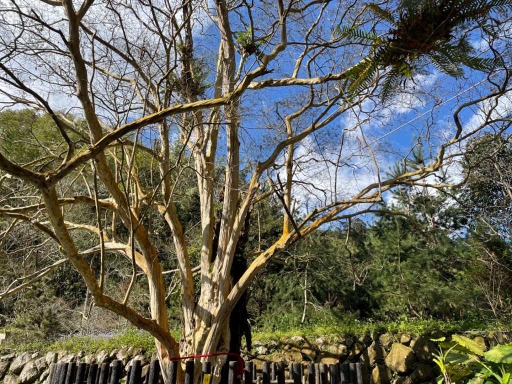 石壁山中段上行封面圖