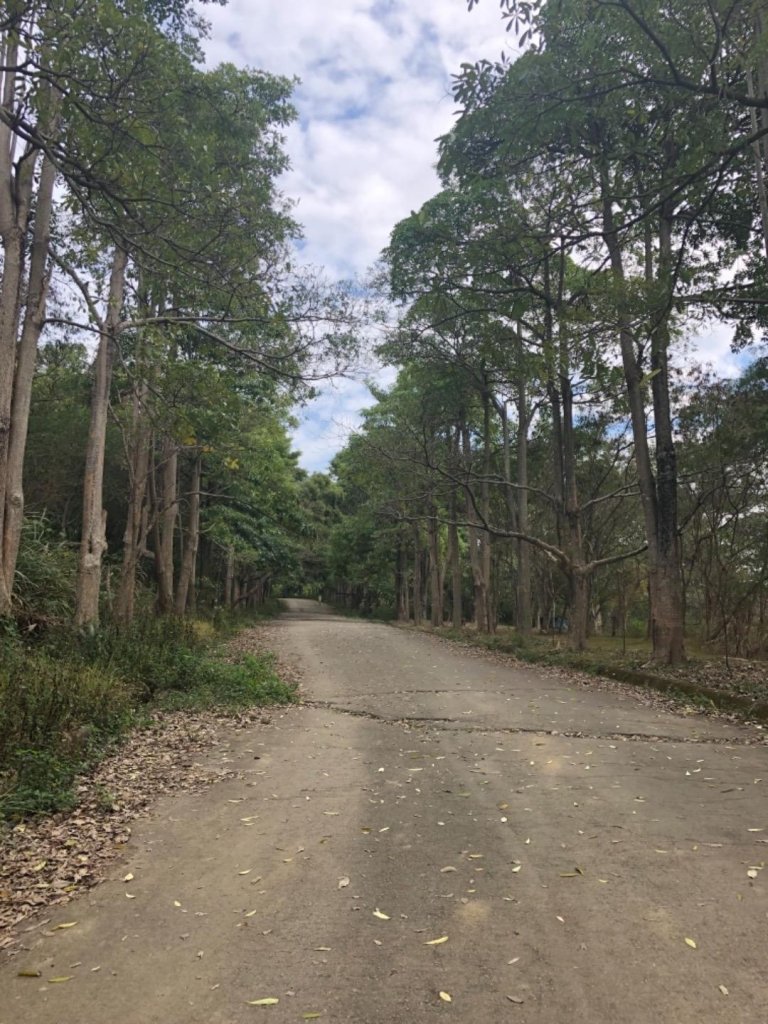 2019.01.19 三汀山_509701