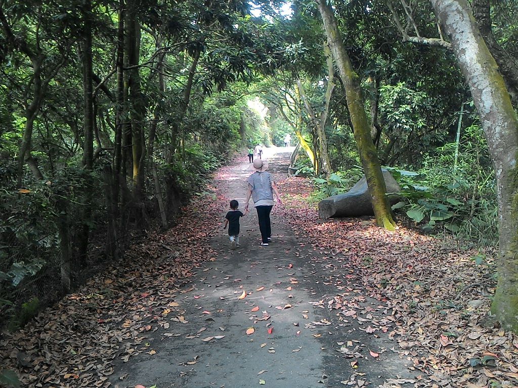 松柏嶺登廟步道_128162