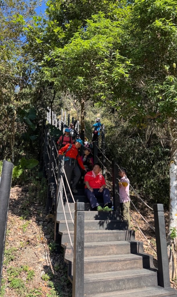 雪山坑登山步道尋巨人_2978486